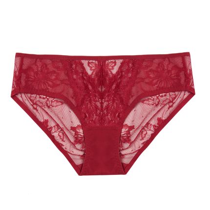 delina sheer peephole lace bikini panty